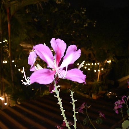 Thongtara House Boutique Srinakarin Hotel Банкок Екстериор снимка